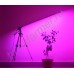 LED светильник для растений на штативе "Везен"